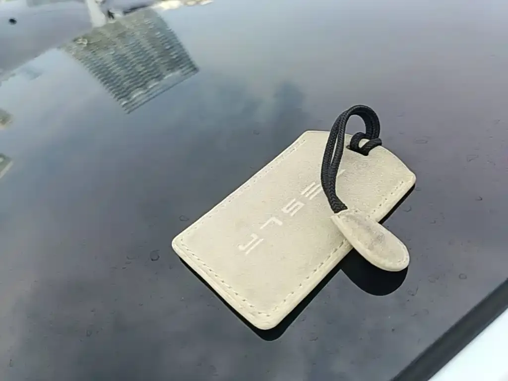 Tesla Model 3 — фото 2