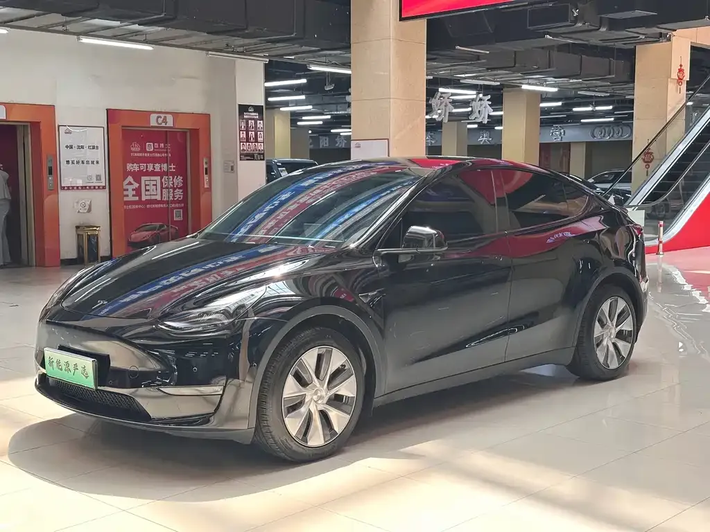 Tesla Model Y — фото 1