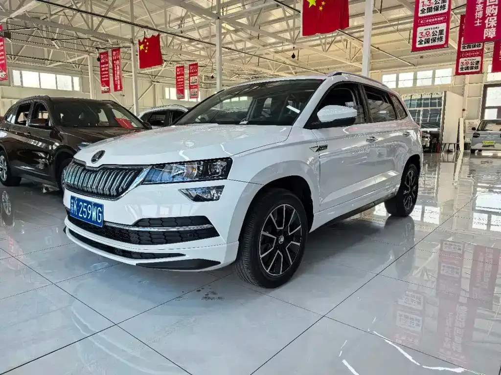 Skoda Karoq — фото 6