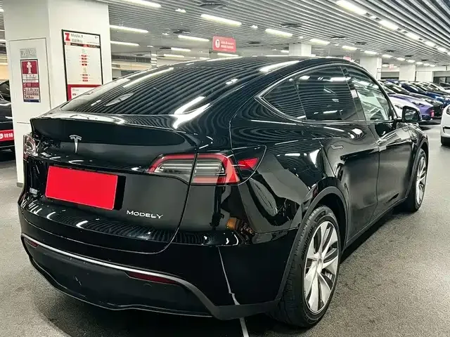 Tesla Model Y — фото 8