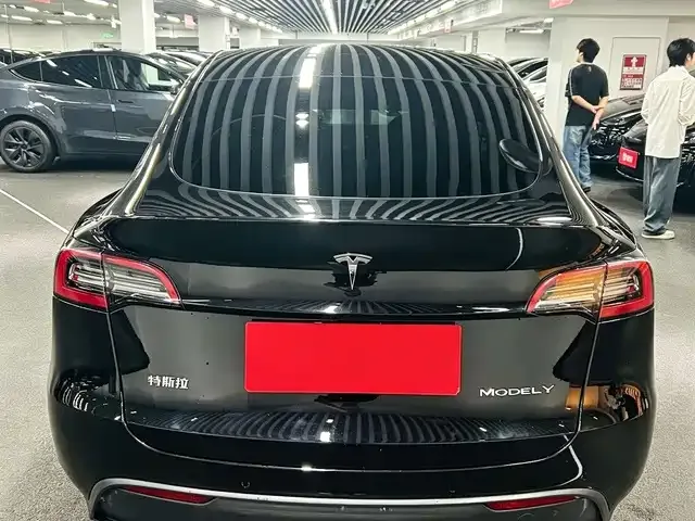 Tesla Model Y — фото 2