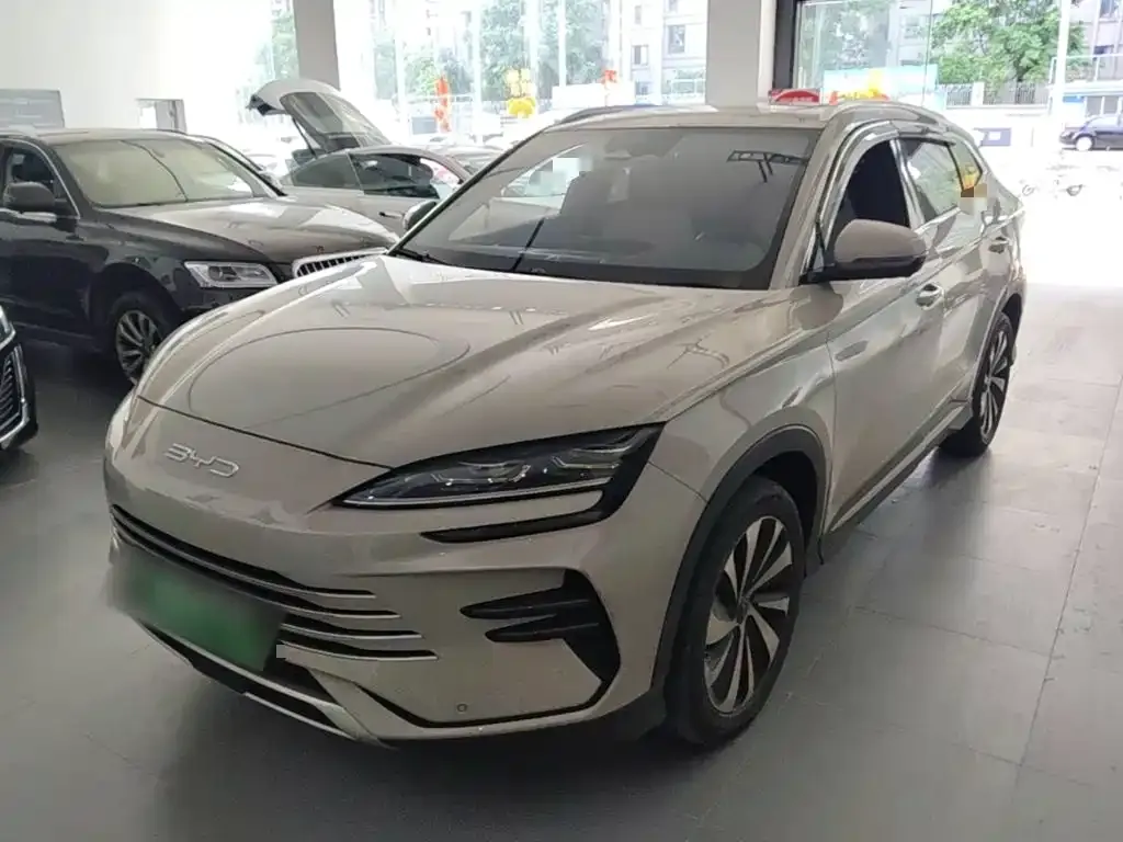 BYD PLUS New Energy — фото 1