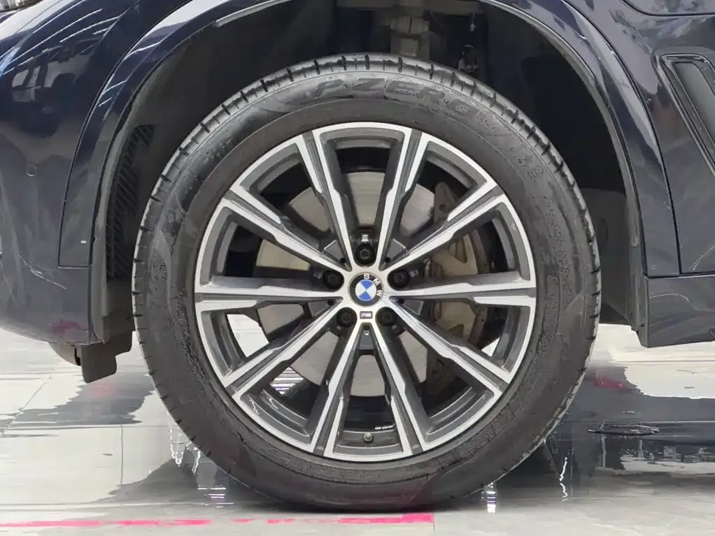 BMW X5 New Energy (Import) — фото 2