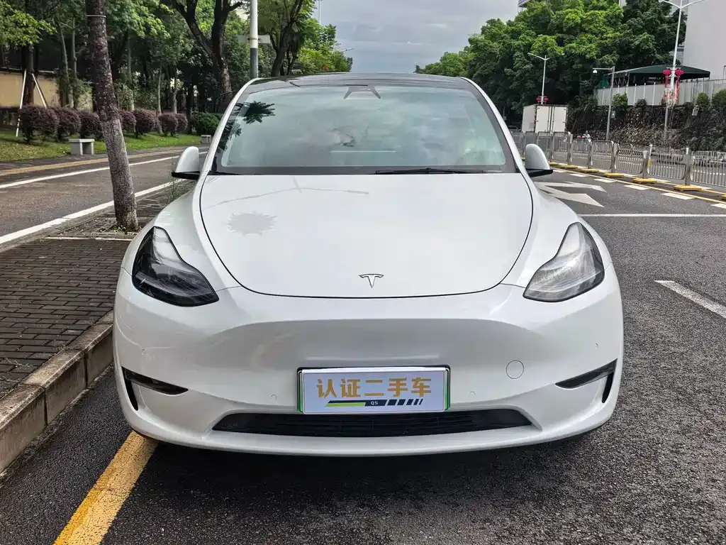 Tesla Model Y — фото 3