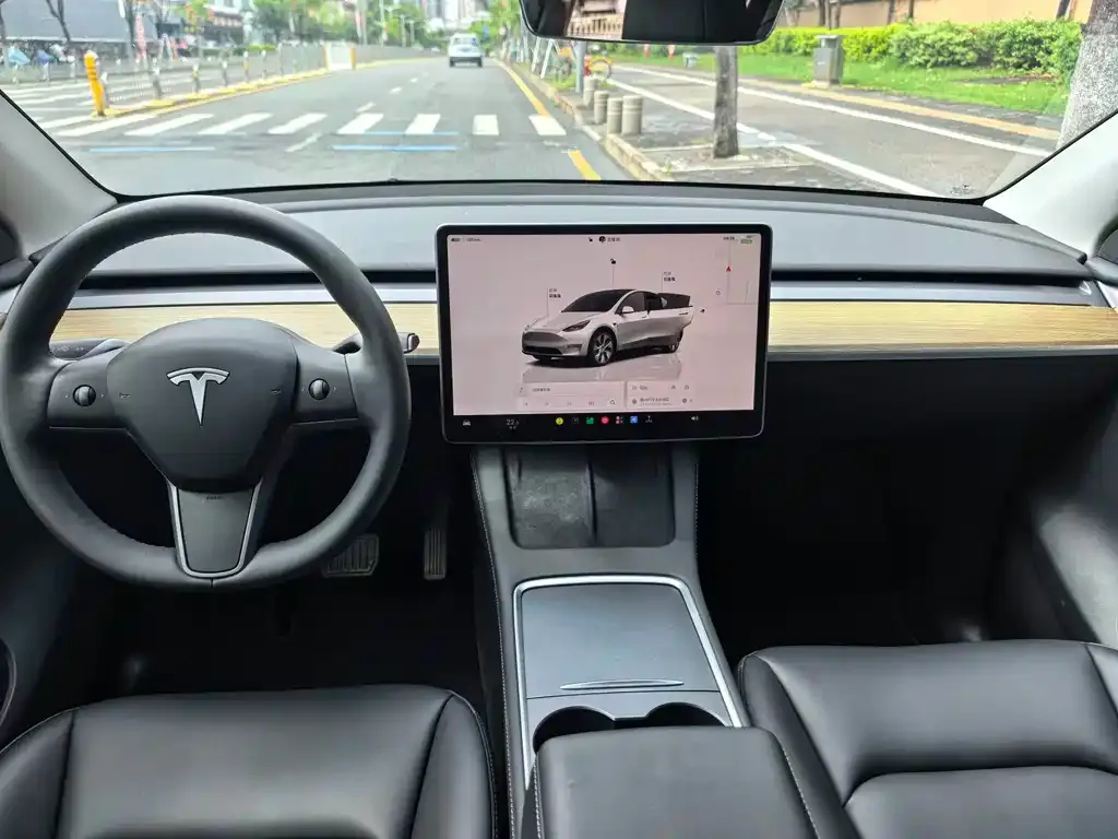 Tesla Model Y — фото 2