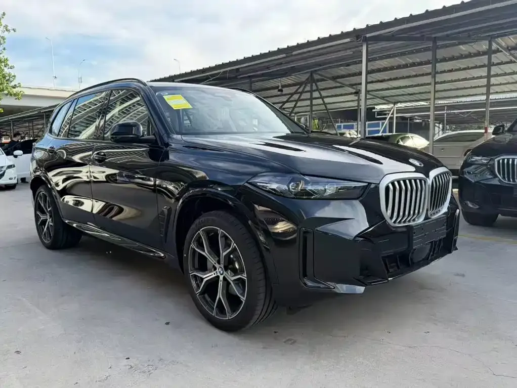 BMW X5 — фото 4