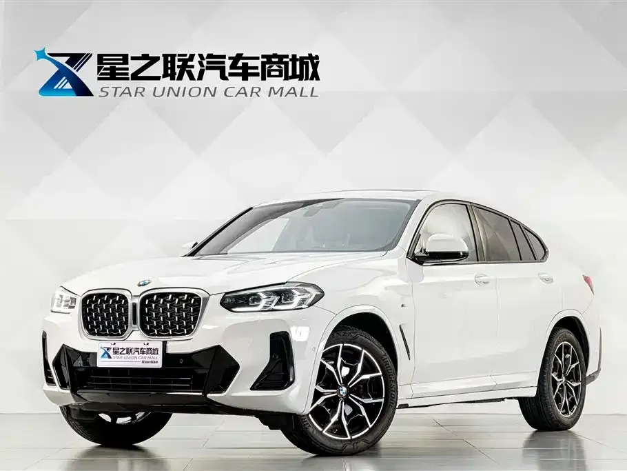BMW X4 — фото 1