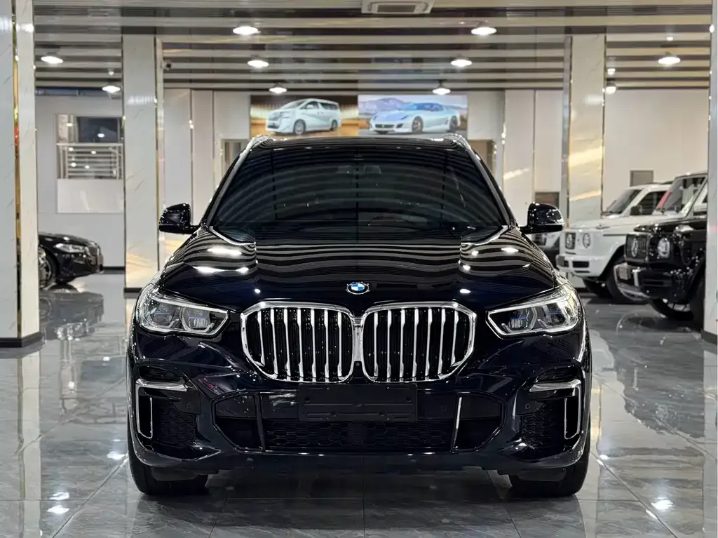 BMW X5 — фото 10