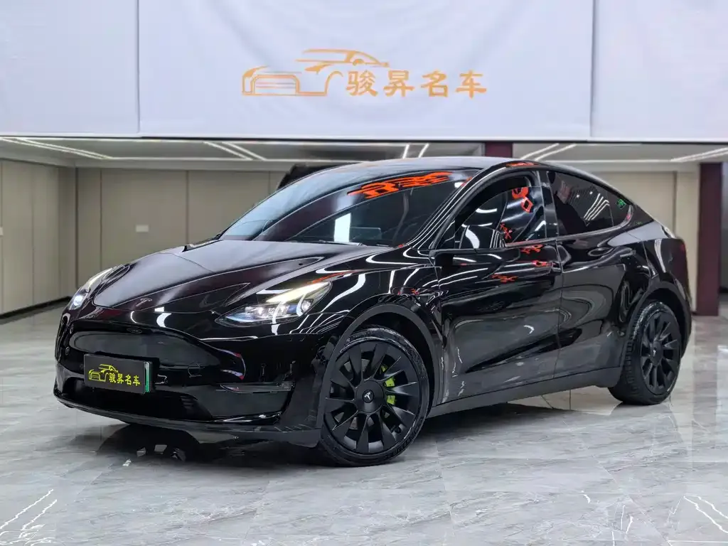 Tesla Model Y — фото 1