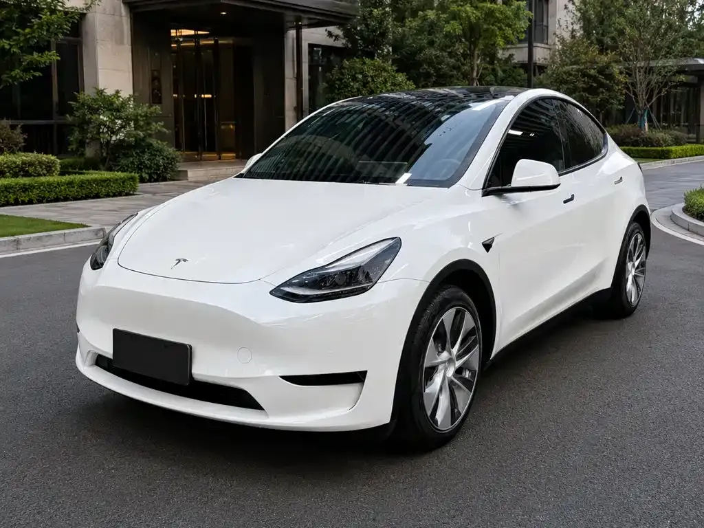 Tesla Model Y — фото 1
