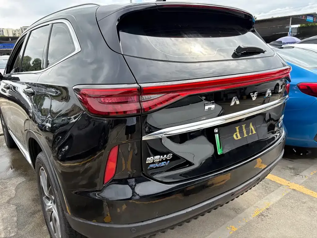 Haval H6 New Energy — фото 4