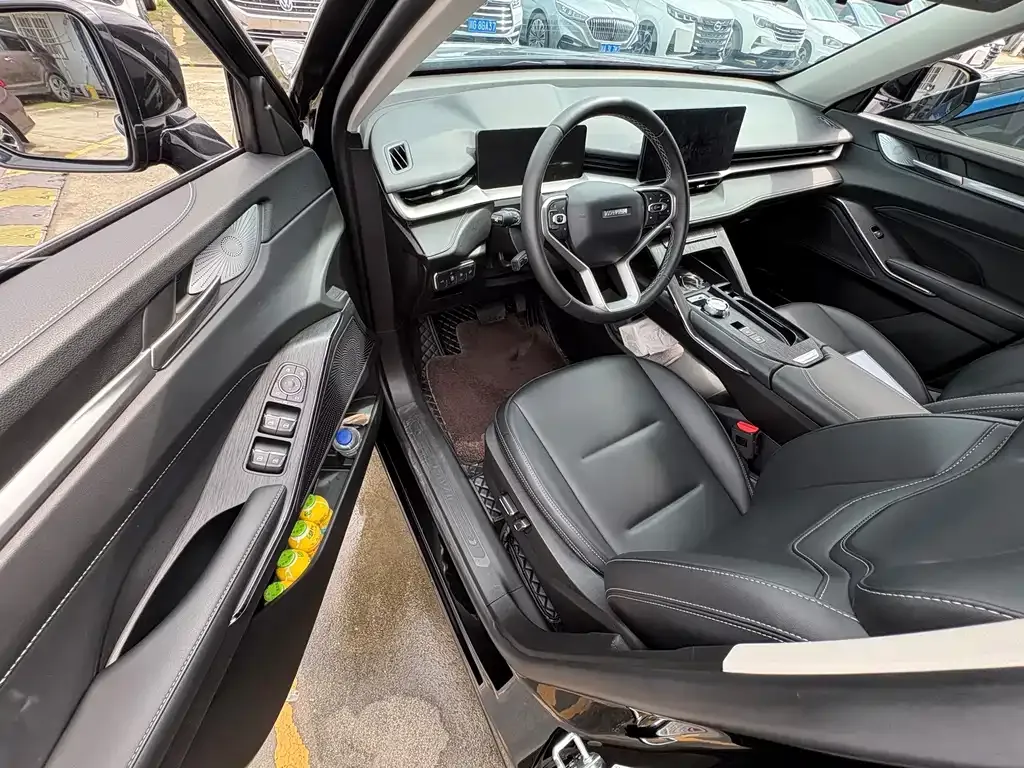 Haval H6 New Energy — фото 9