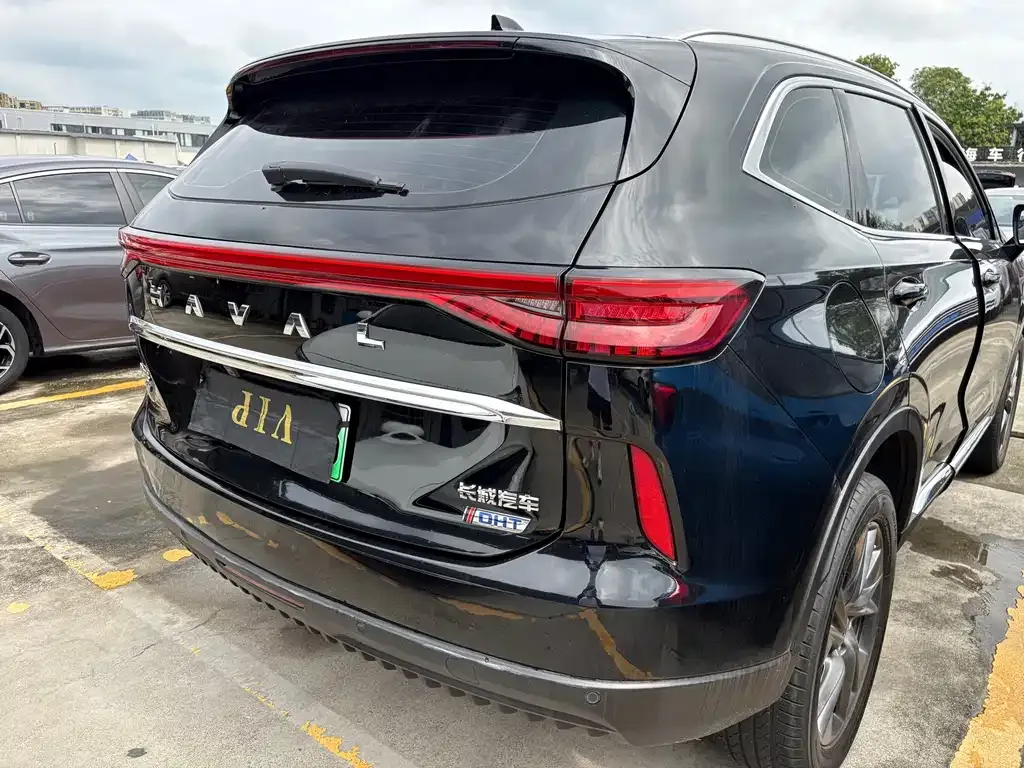 Haval H6 New Energy — фото 8