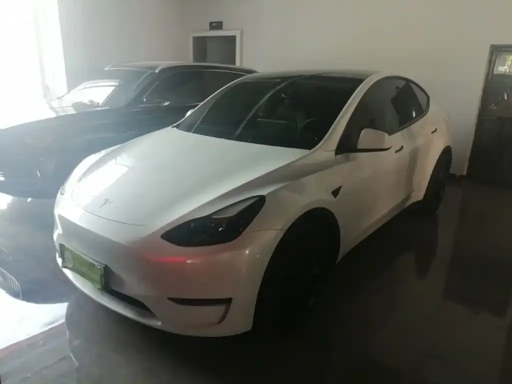 Tesla Model Y — фото 3
