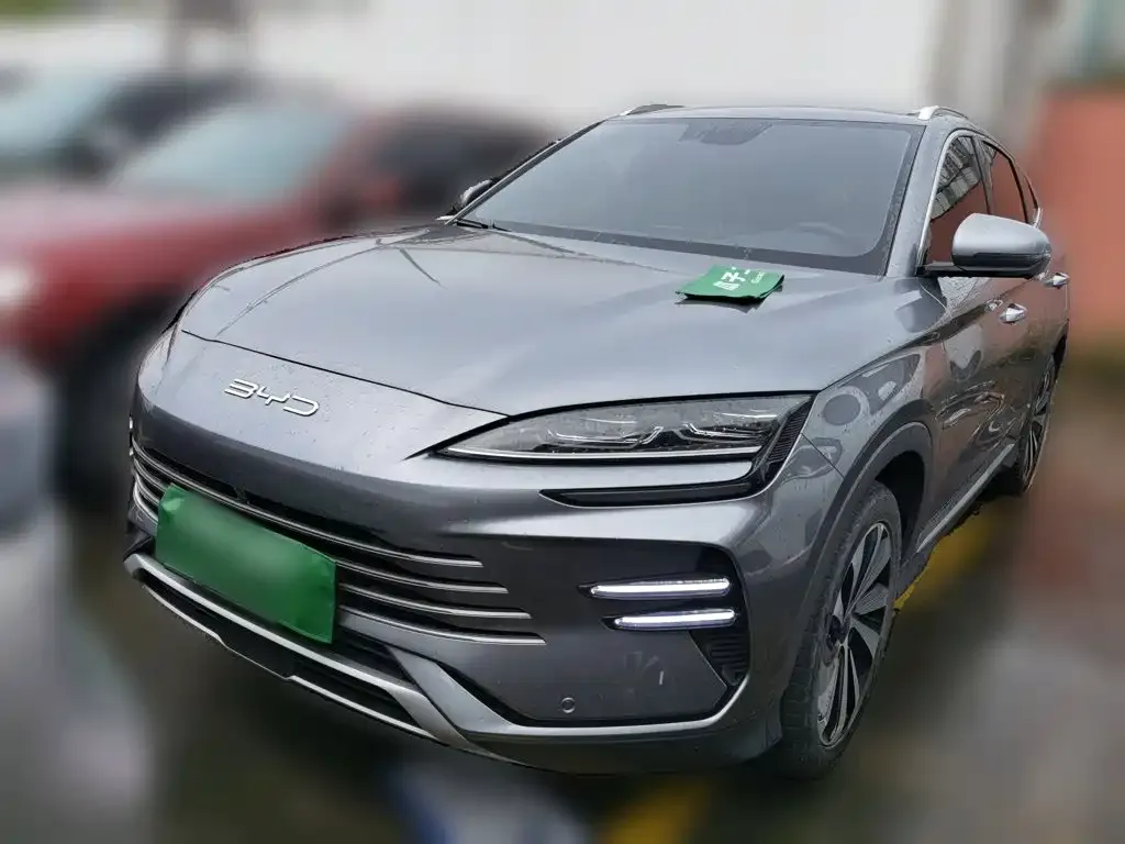 BYD PLUS New Energy — фото 1