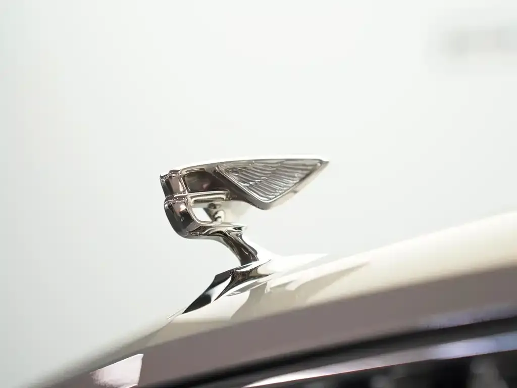 Bentley Flying Spur — фото 3