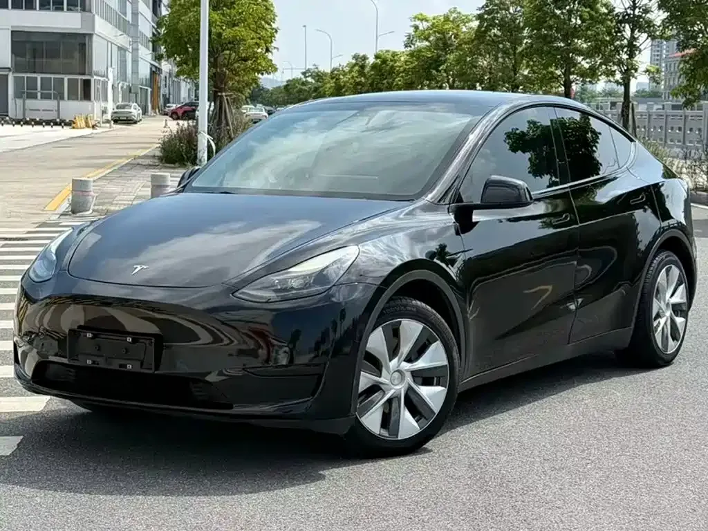 Tesla Model Y — фото 1