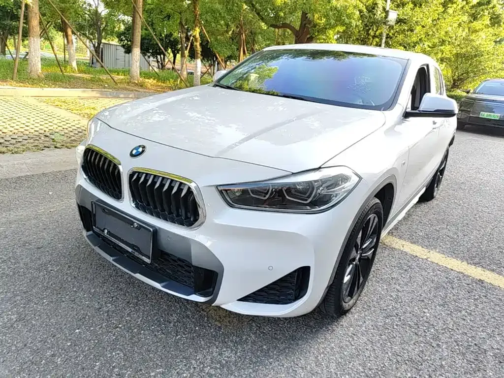 BMW X2 — фото 1