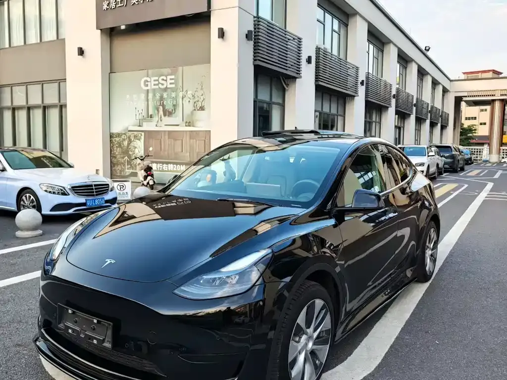 Tesla Model Y — фото 8