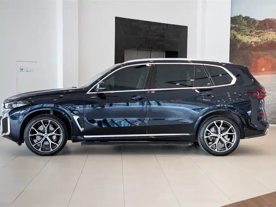 BMW X5 — фото 10
