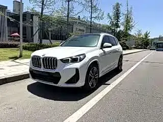 BMW X1 — фото 1