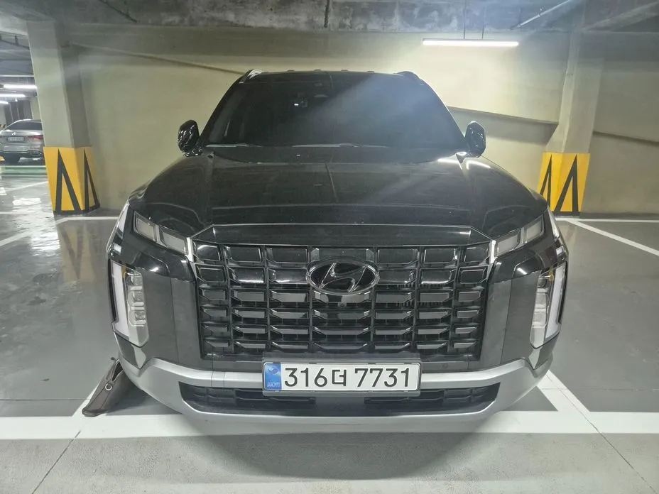 Hyundai Palisade — фото 1