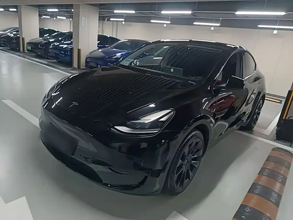 Tesla Model Y — фото 1