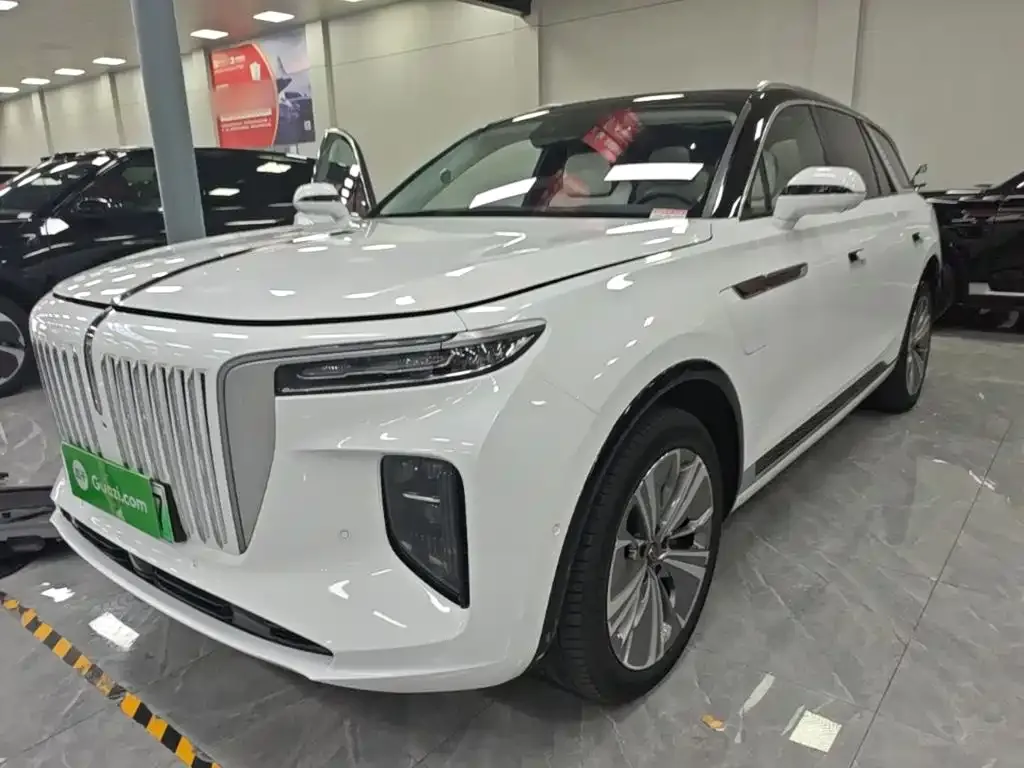 Hongqi E-HS9 — фото 1