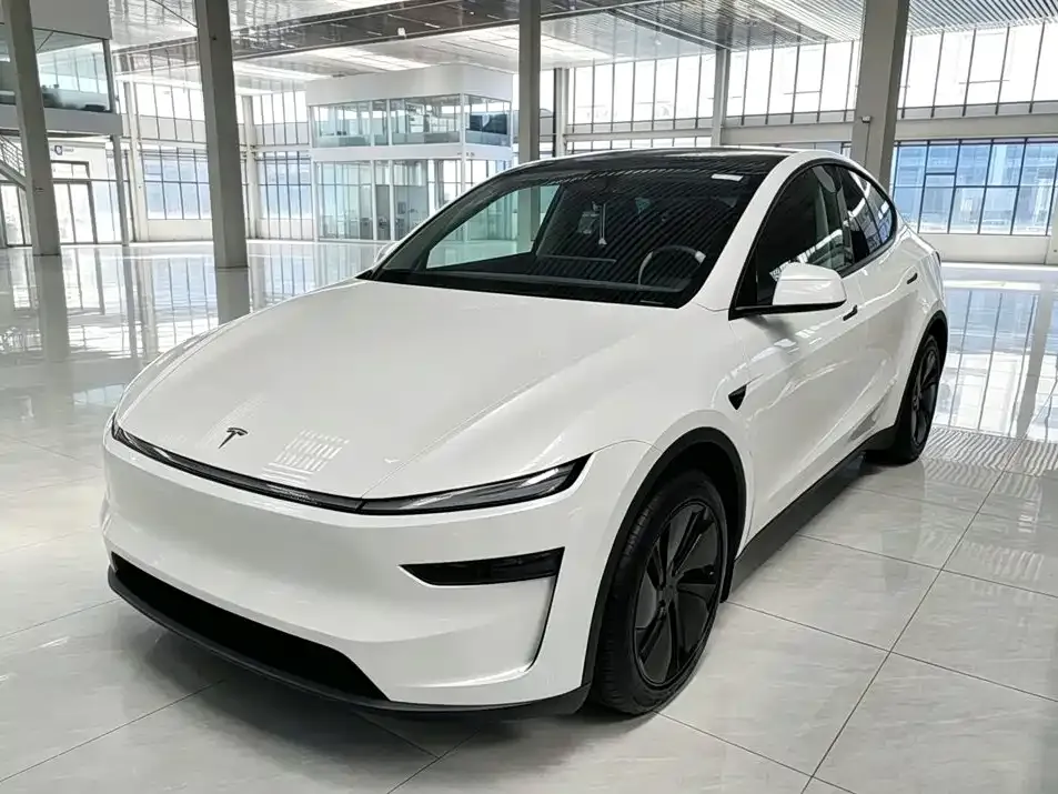 Tesla Model Y — фото 5