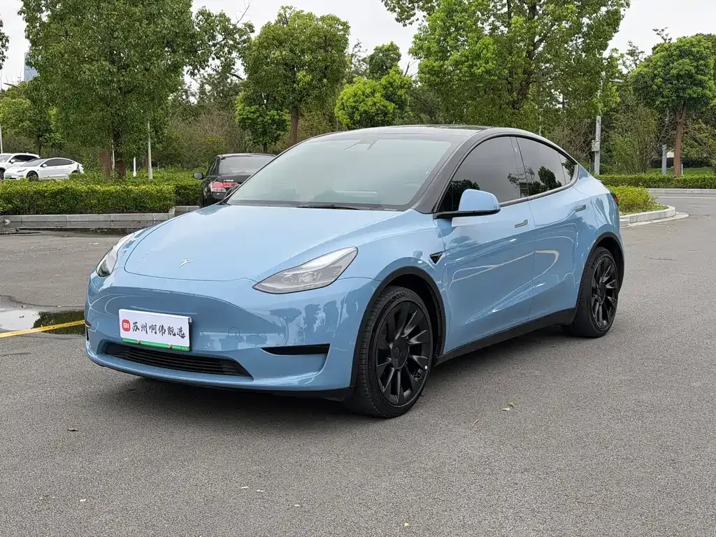 Tesla Model Y — фото 1