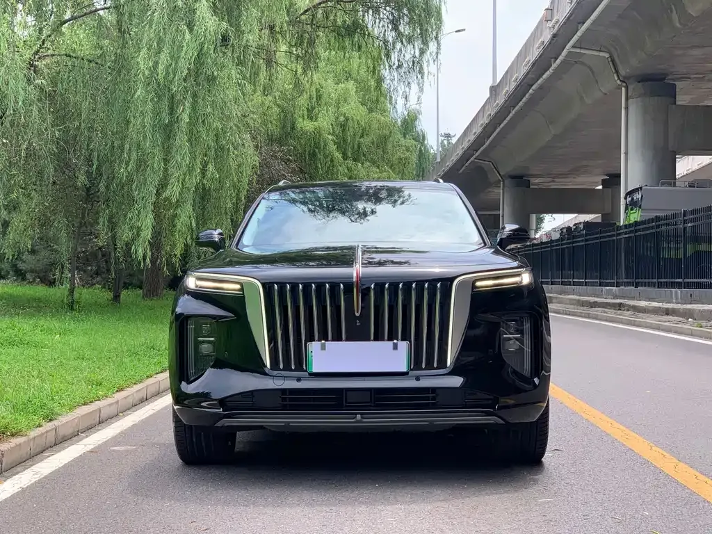 Hongqi E-HS9 — фото 10
