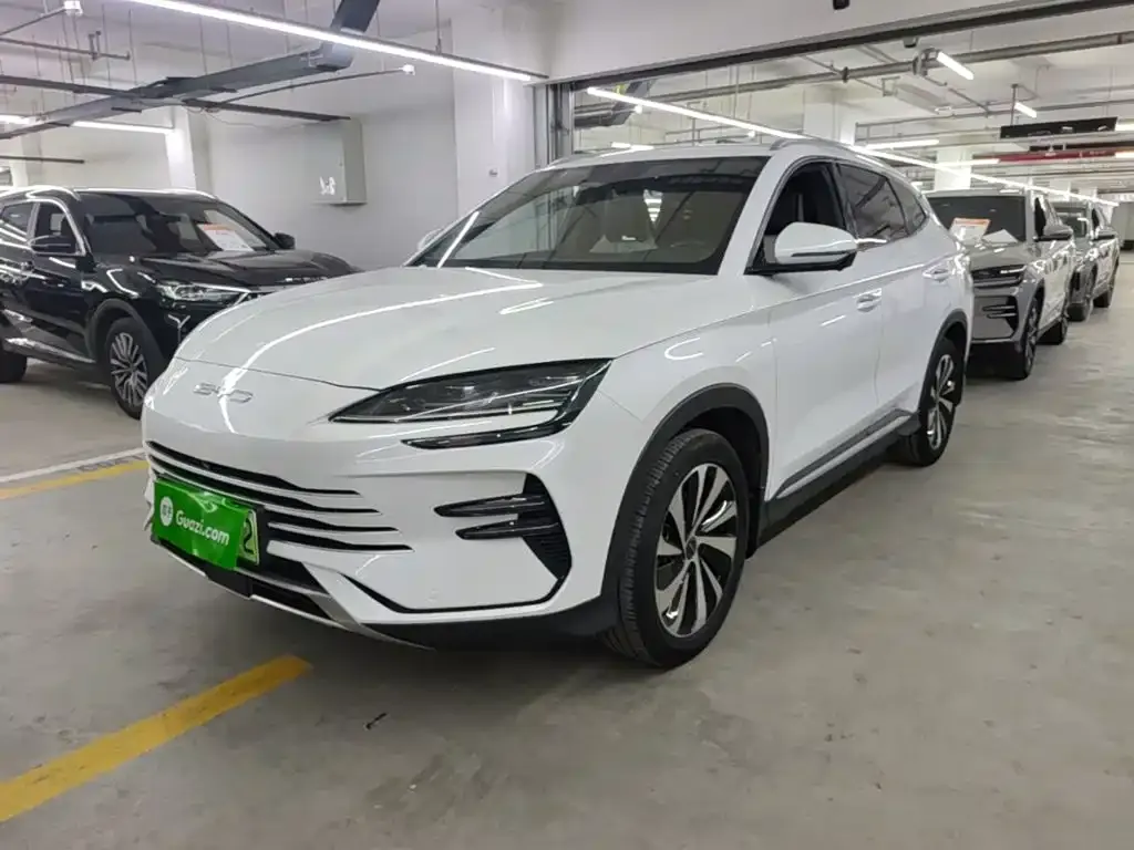 BYD PLUS New Energy — фото 1
