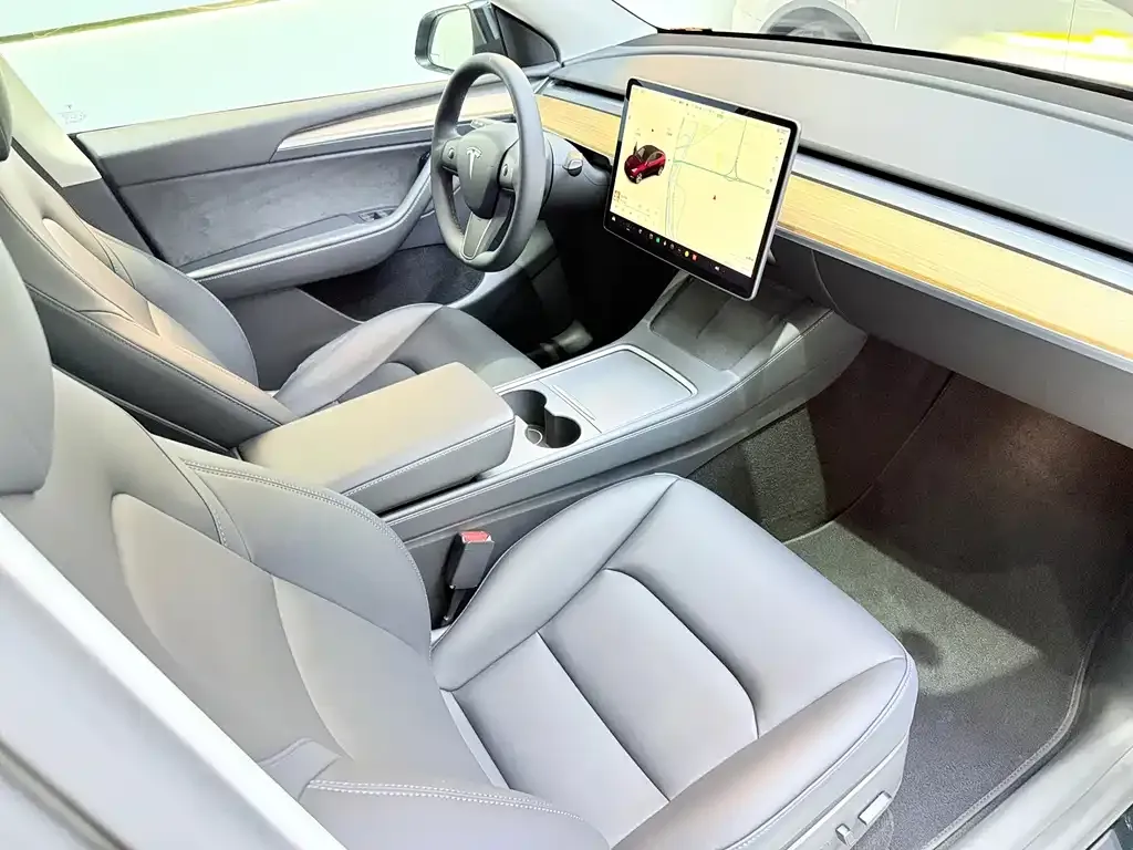 Tesla Model Y — фото 10