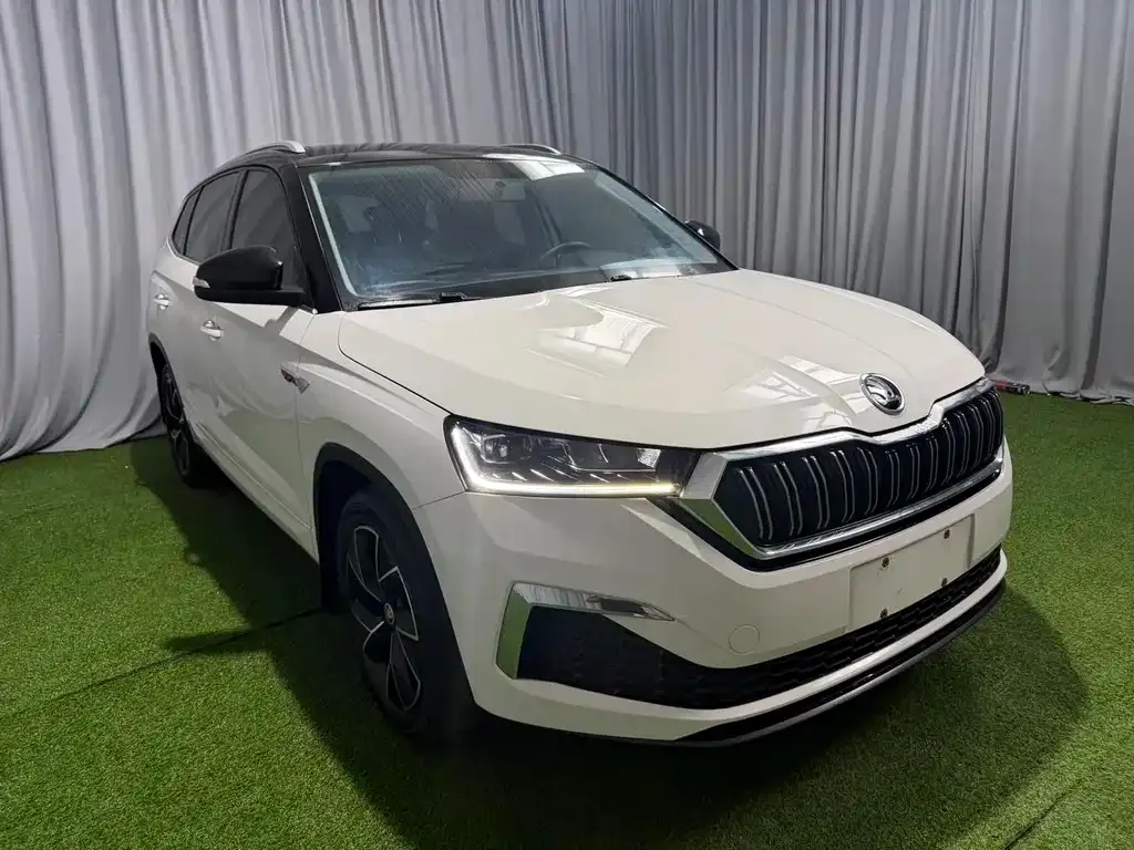Skoda Kamiq — фото 10