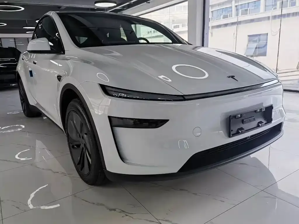 Tesla Model Y — фото 8
