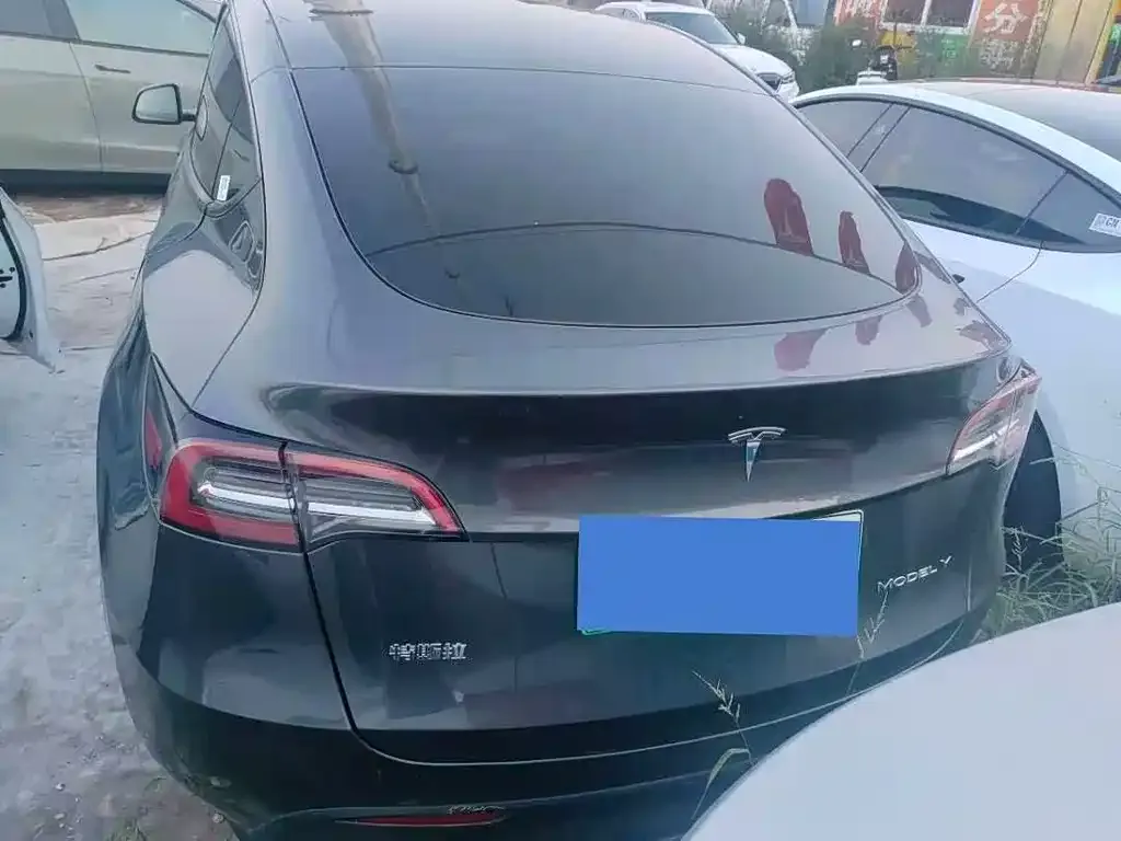 Tesla Model Y — фото 2