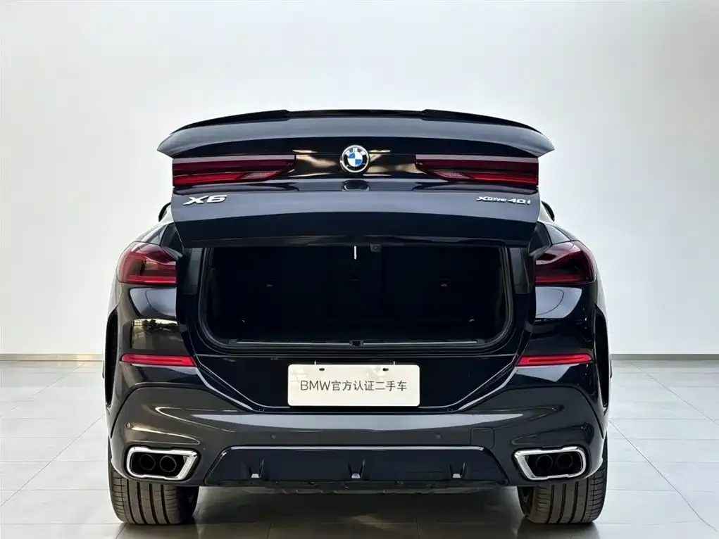 BMW X6 — фото 4