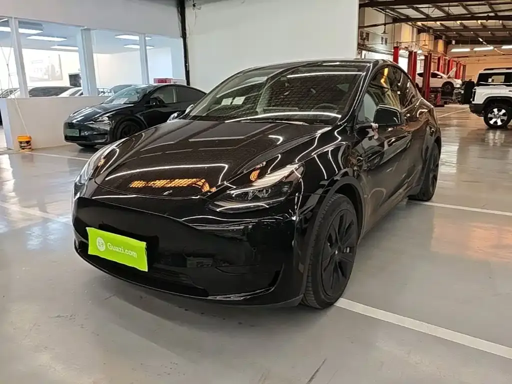 Tesla Model Y — фото 10