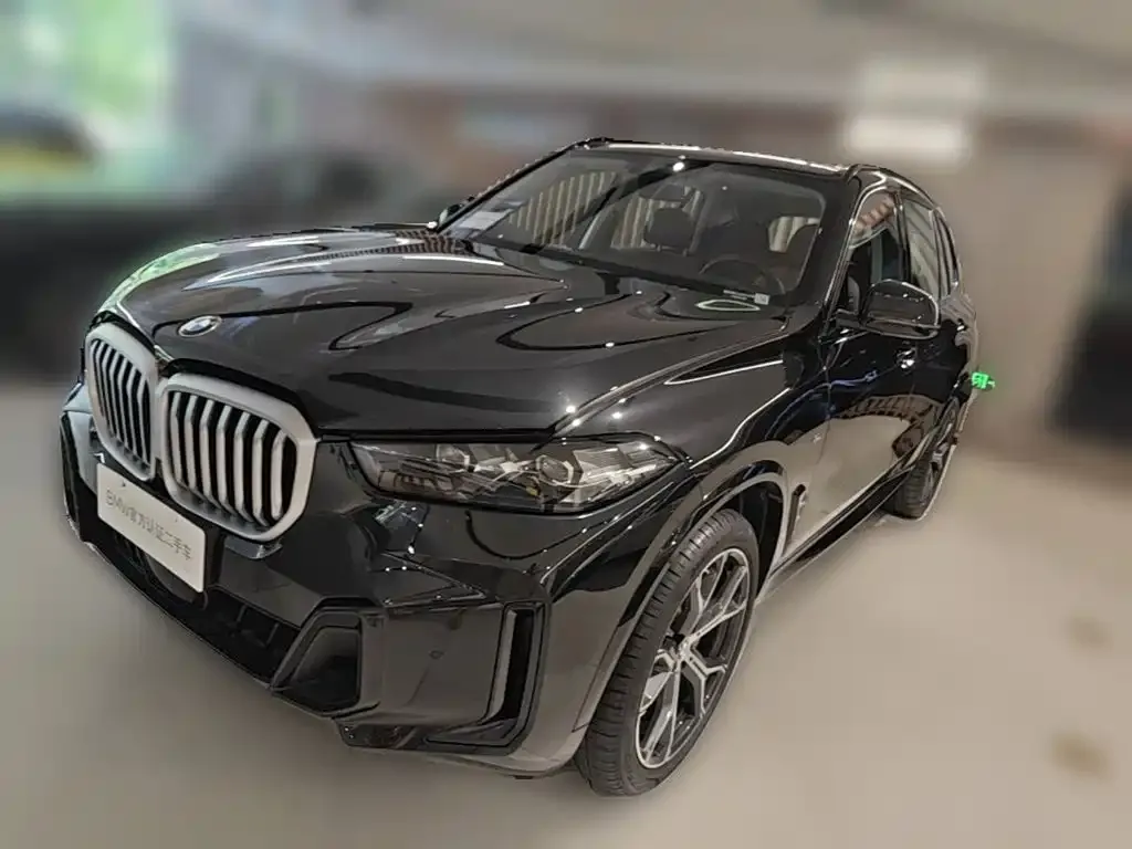 BMW X5 — фото 9