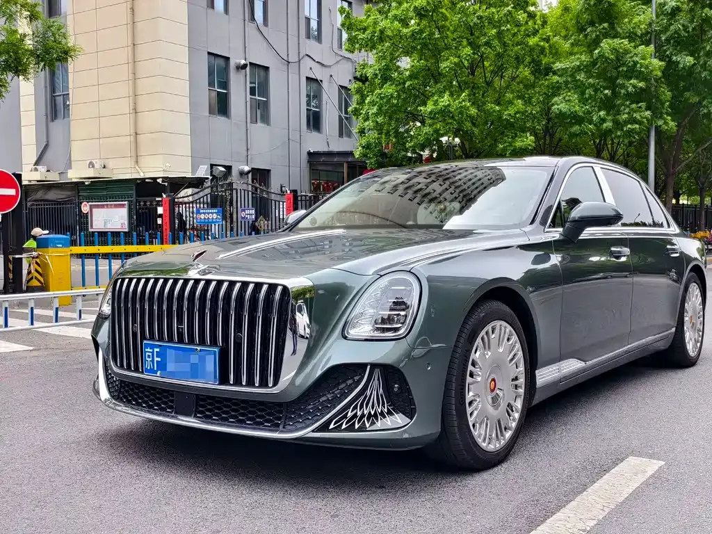 Hongqi Hongqi Golden Sunflower Guoya — фото 1