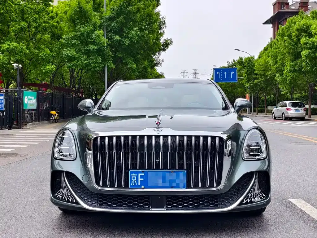 Hongqi Hongqi Golden Sunflower Guoya — фото 8