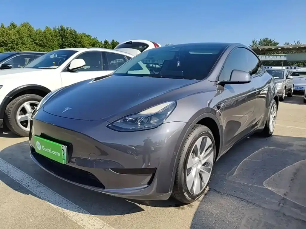 Tesla Model Y — фото 9