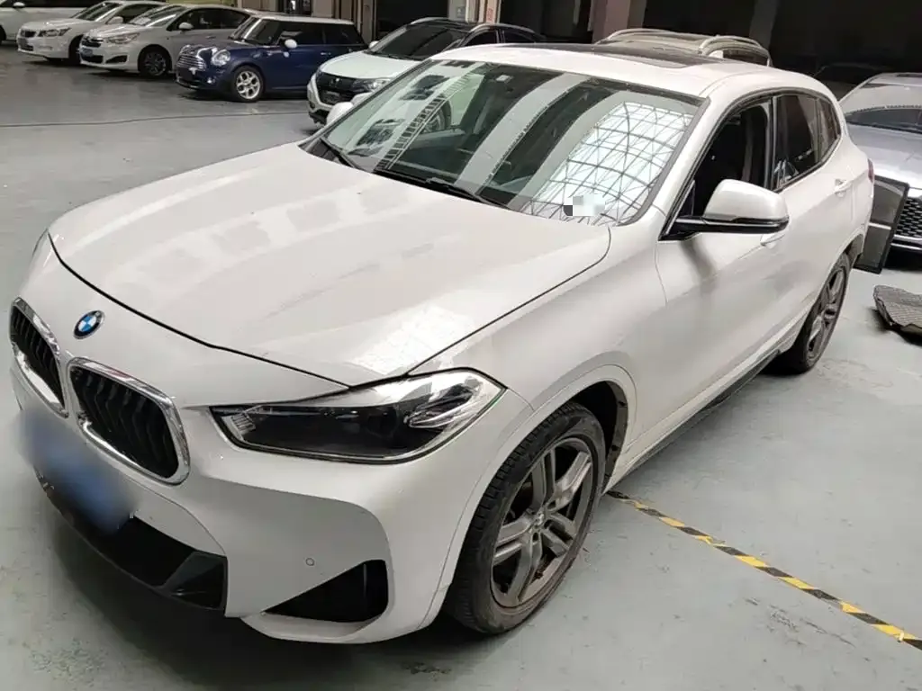 BMW X2 — фото 1