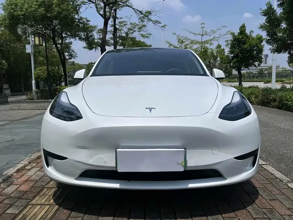 Tesla Model Y — фото 8