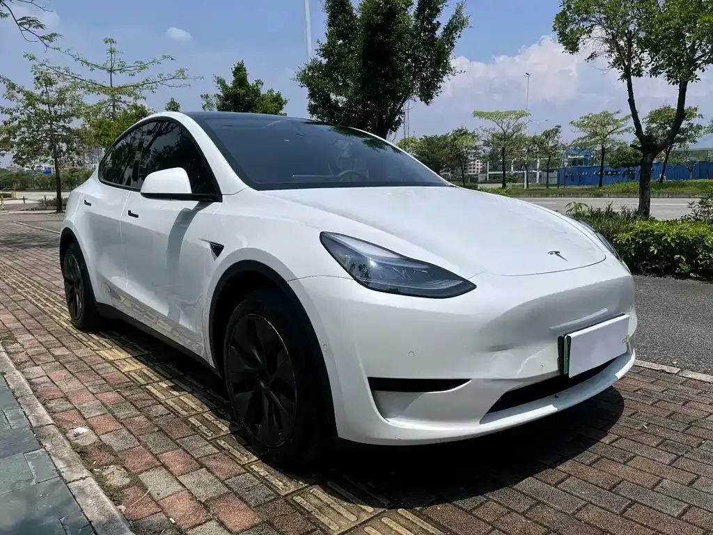 Tesla Model Y — фото 9