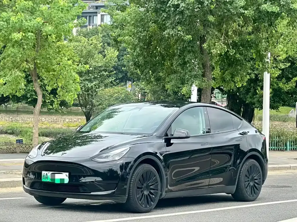 Tesla Model Y — фото 1