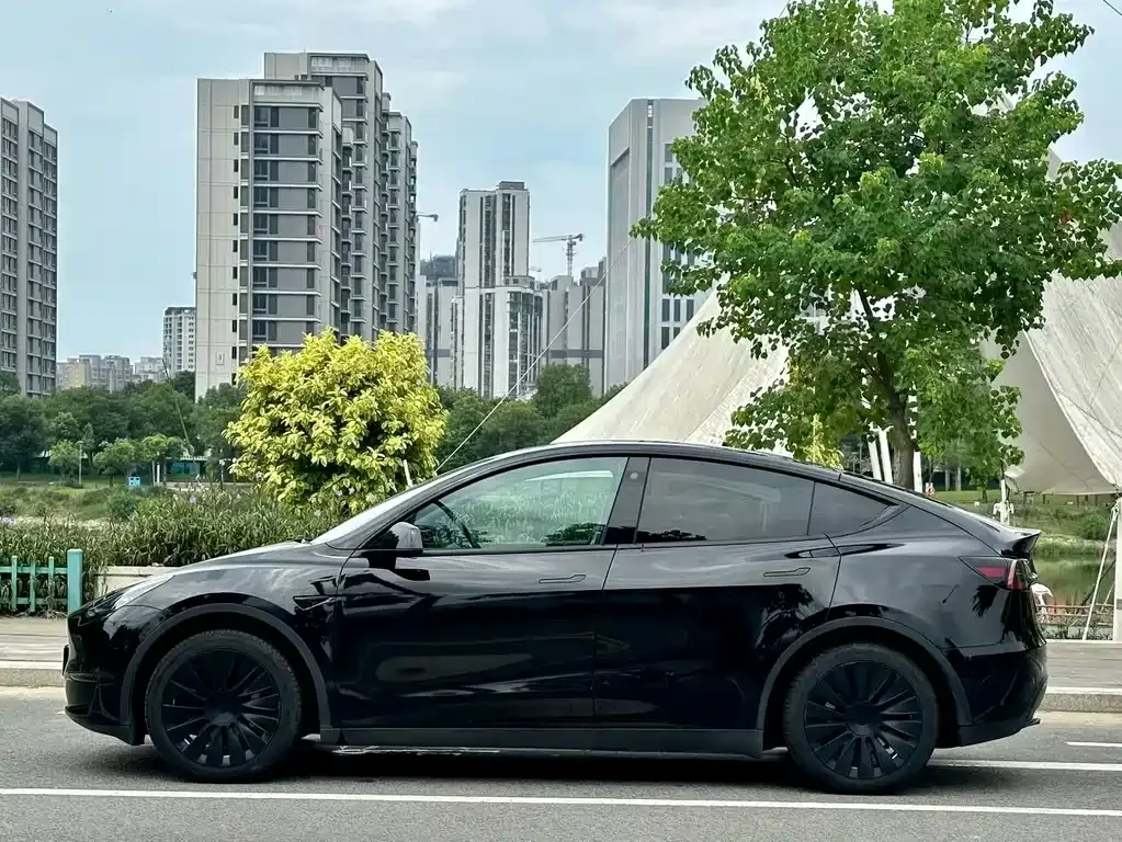 Tesla Model Y — фото 5