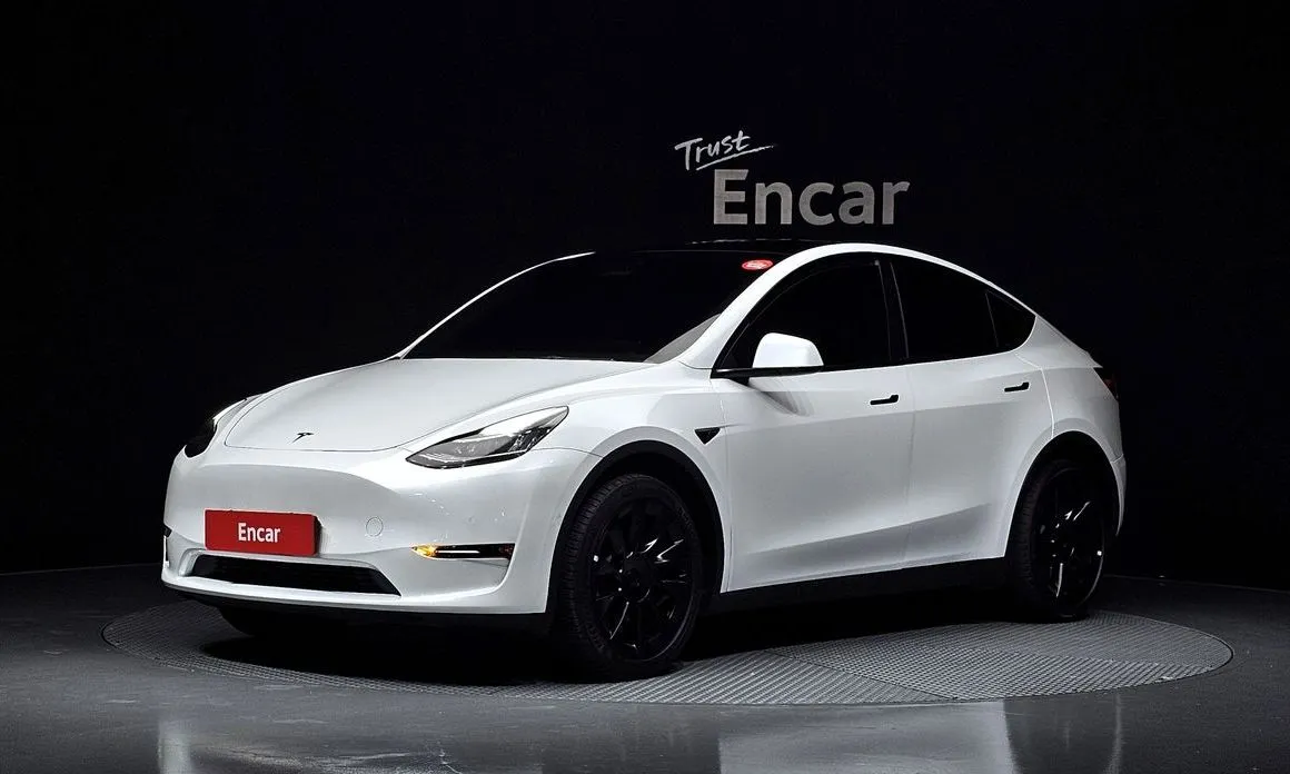Tesla Model Y — фото 1