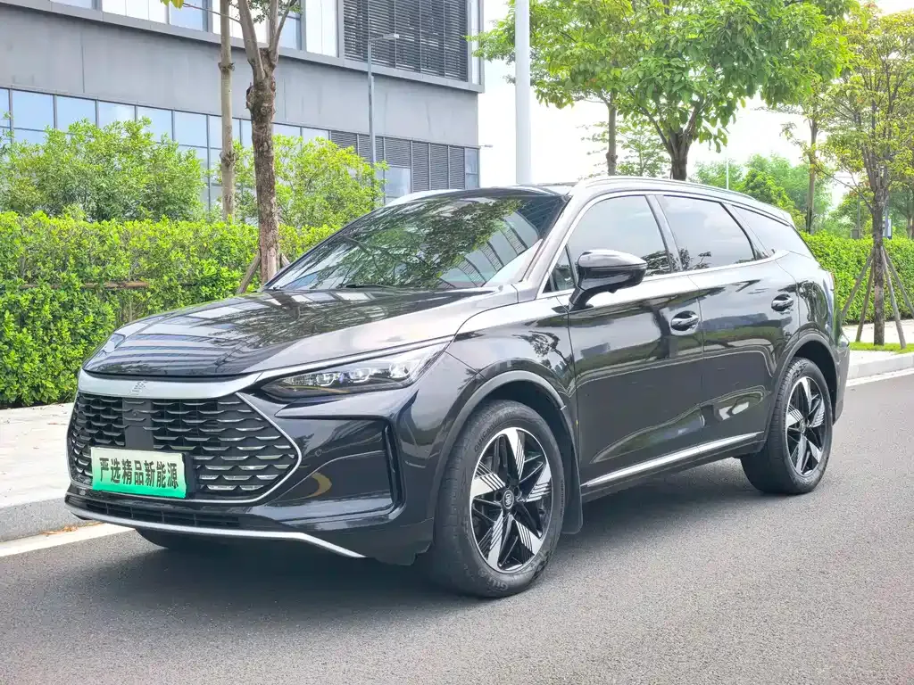 BYD Tang New Energy — фото 1