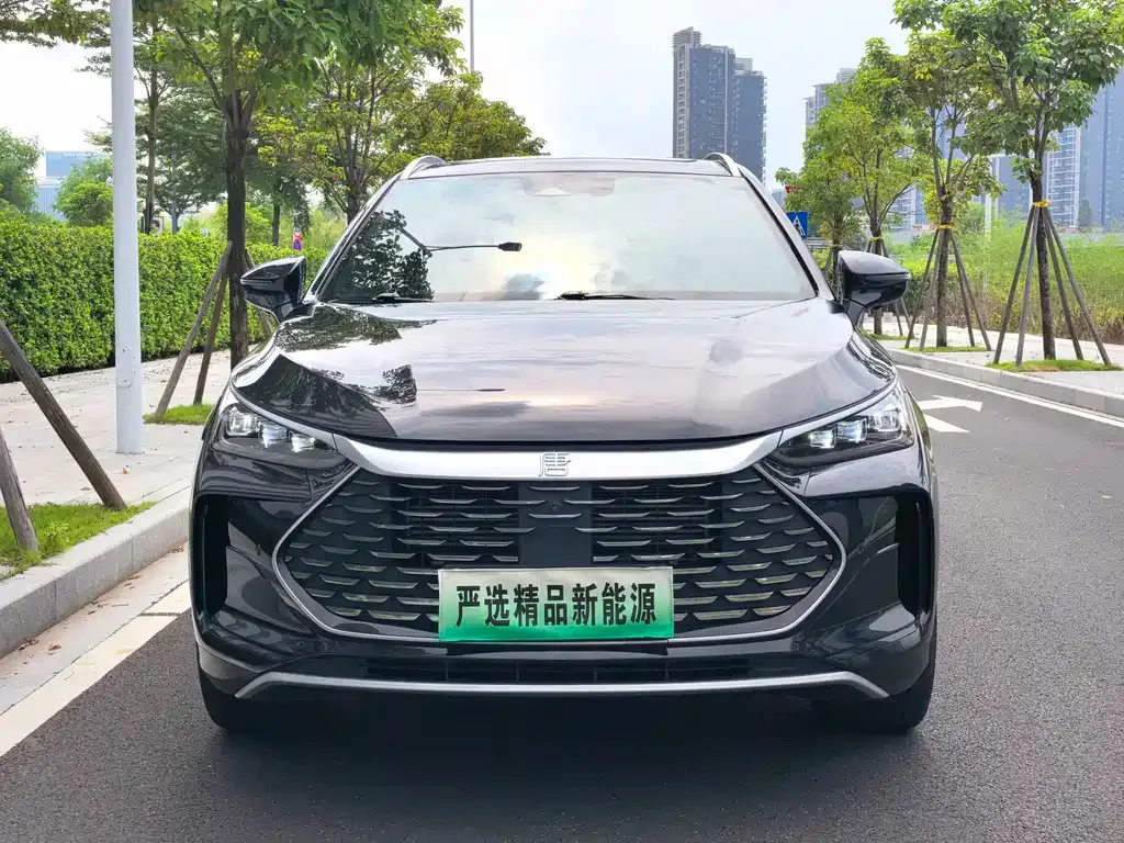 BYD Tang New Energy — фото 5